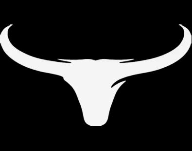 Gray Bull
